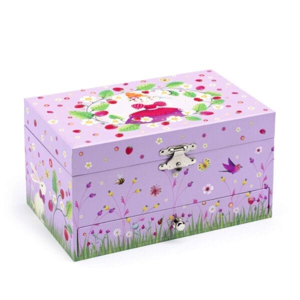 Cutie Muzicala Printesa Djeco13147