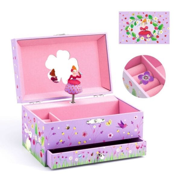 Cutie Muzicala Printesa Djeco13148