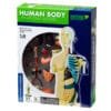 Kit Stem Anatomia Corpului Uman, Thames &Amp; Kosmos 7 Kit Stem Anatomia Corpului Uman Thames Kosmos10097