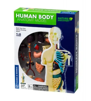 kit stem anatomia corpului uman thames kosmos10097