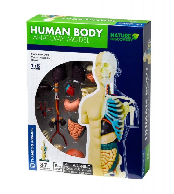 Kit Stem Anatomia Corpului Uman, Thames &Amp; Kosmos