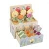 Primul Set De Crescut Plante, Orange Tree Toys 8 Primul Set De Crescut Plante Orange Tree Toys9700