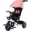 Tricicleta Chipolino Pegas Cu Sezut Reversibil Blush 12 Tricicleta Chipolino Pegas Blush 1 I Best Buy Babys