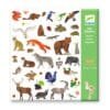 Abtibilduri Fauna Europei, Djeco 8 Abtibilduri Fauna Europei Djeco21028 I Best Buy Babys