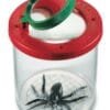 Cea Mai Buna Cutie Cu Lupa Pentru Observarea Insectelor Navir21191 I Best Buy Babys
