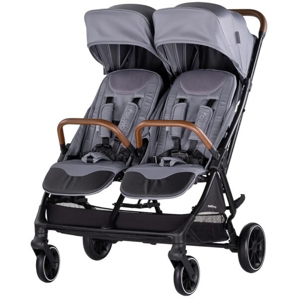 Carucior Gemeni Chipolino Twinity Cloud