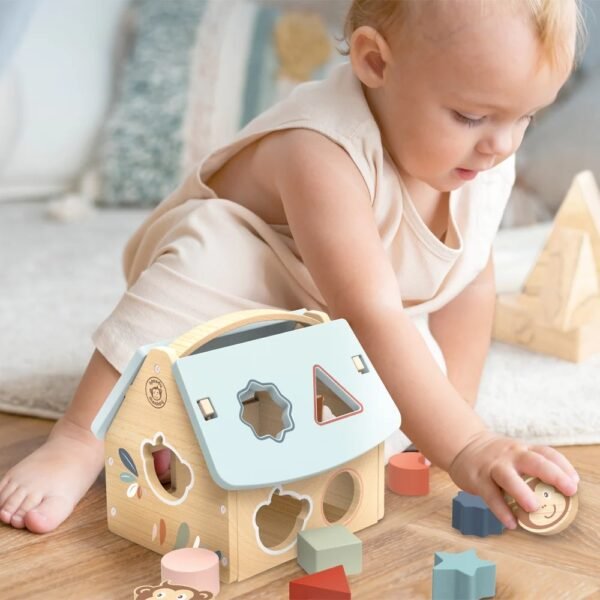 Casuta Sortatoare Cu Forme, Speedy Monkey - Imagine 2