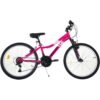 Bicicleta Dino Bikes 24'' MTB femei Ring roz 7 Bicicleta Dino Bikes 24 MTB femei Ring roz I Best Buy Babys