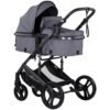 Carucior Chipolino Amore 2 in 1 cloud grey I Best Buy Babys