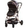 Carucior Chipolino Estelle 2 in 1 leaves I Best Buy Babys