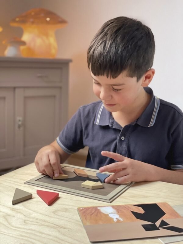 Jocuri Magnetice Tangram, Egmont Toys - Imagine 2