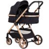 Carucior Chipolino Vista 2 in 1 blackberry 11 Carucior Chipolino Vista 2 in 1 blackberry 1 I Best Buy Babys