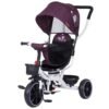 Tricicleta Cu Copertina Si Sezut Reversibil Chipolino Jetro Lilac I Best Buy Babys
