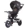 Tricicleta cu sezut reversibil Chipolino Arena asphalt I Best Buy Babys