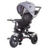 Tricicleta cu sezut reversibil Chipolino Arena mist I Best Buy Babys