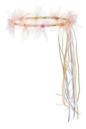 Coronita cu fluturi, Souza!