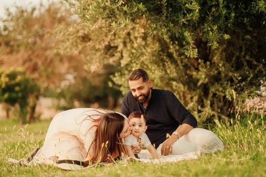 A joyful family with parents and a baby enjoying a sunny day outdoors on a picnic.