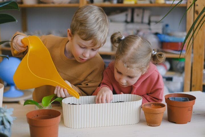 Jucarii Montessori vs Seturi L featured