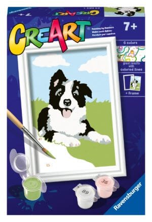 Ravensburger Paint by Numbers Border Collie