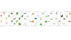 TTS Bee-Bot Nature Mat