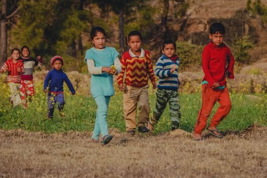 A group of children enjoying playtime in a vibrant field, showcasing carefree childhood moments.