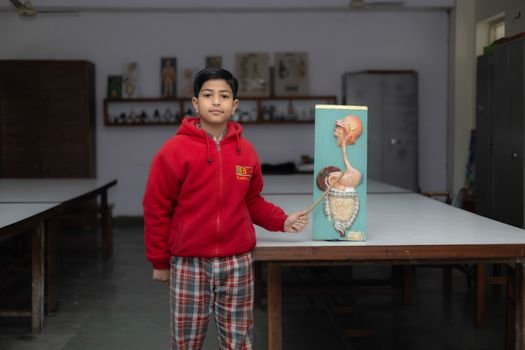 A young student in a classroom presenting an anatomical model, showcasing educational focus.