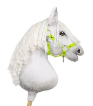 Halterul reglabil pentru Hobby Horse A3 - verde neon