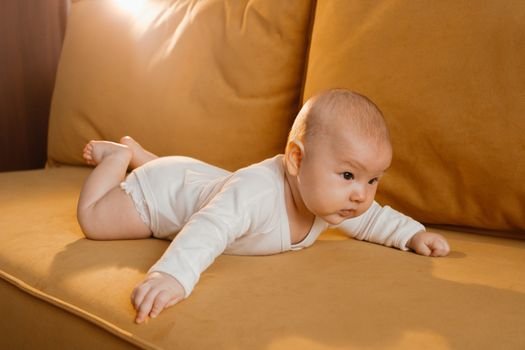 Charming baby laying on a leather sofa, bathed in warm light, in a cozy living room setting.